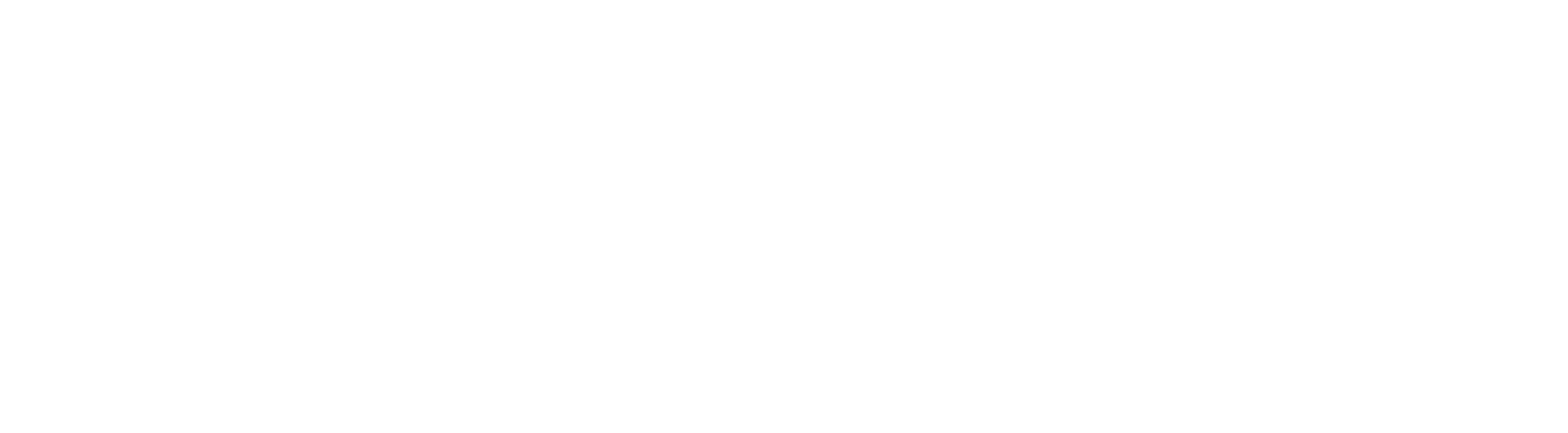 Vaulex Secure File Transfer